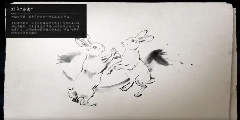 春季野兔拳击墨绘相关画面