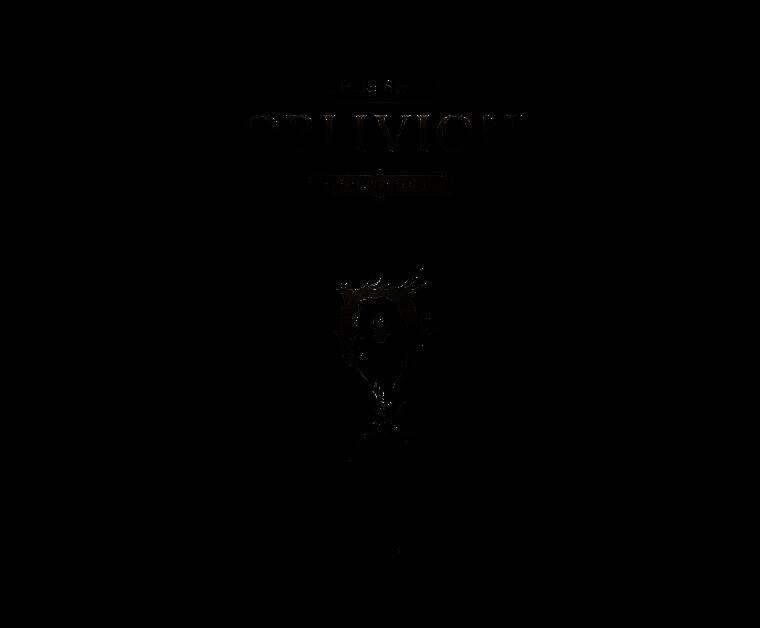 《上古卷轴4：重制版》相关画面1