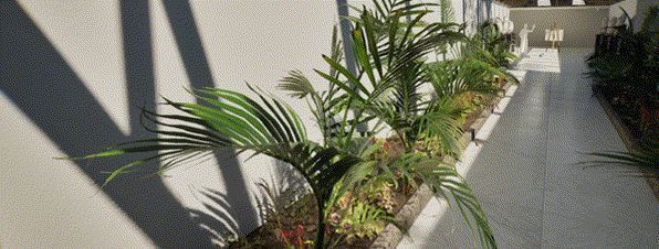 《Greenhouse》游戏画面截图5