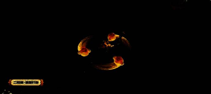 王者荣耀亚瑟布丁狗之誓皮肤二技能回旋打击特效图