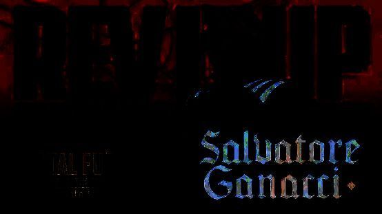 萨尔瓦多·加纳奇参赛画面