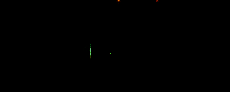 《Shadow Pulse》相关图片1