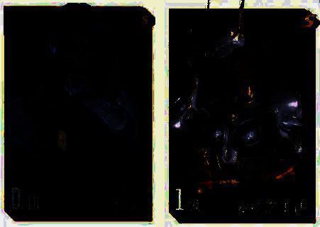 安德洛美达与恒娥相关技能或形象图片