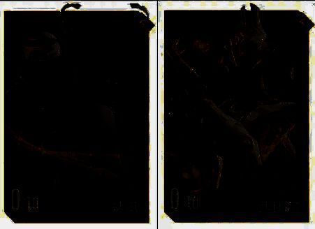 凌薇与西比尔相关技能或形象图片