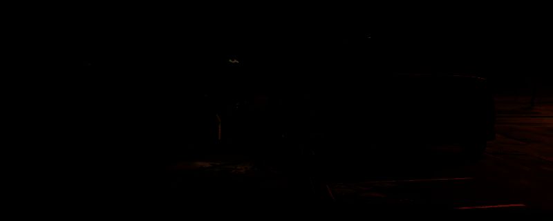 《勇闯死人谷：暗黑之日》德克萨斯体育用品店相关画面