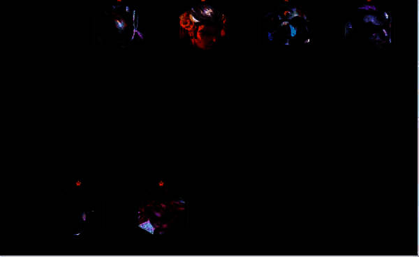 前期打工阵容展示图