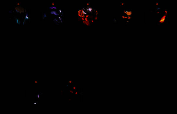 阵容成型站位展示图