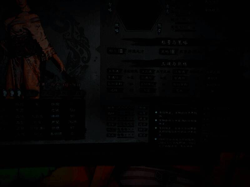 游戏中斗鸡相关画面2