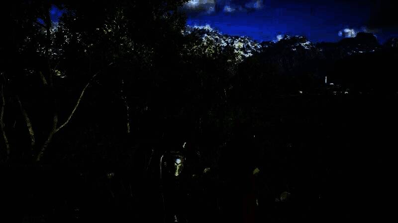 《红色沙漠》游戏画面11