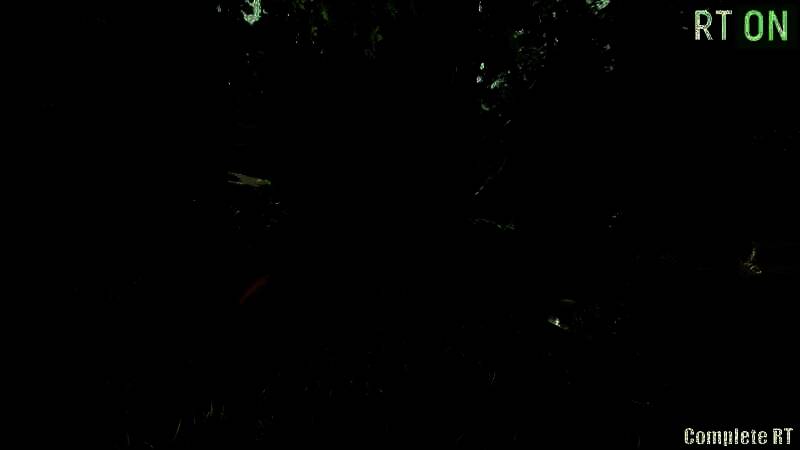 《最后的生还者2：重制版》默认画质与光追MOD画质对比画面10