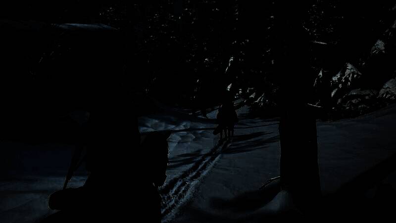 《最后的生还者2：重制版》开启光追MOD后的画面2