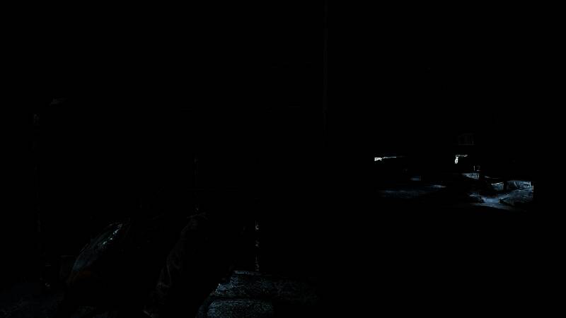 《最后的生还者2：重制版》开启光追MOD后的画面3