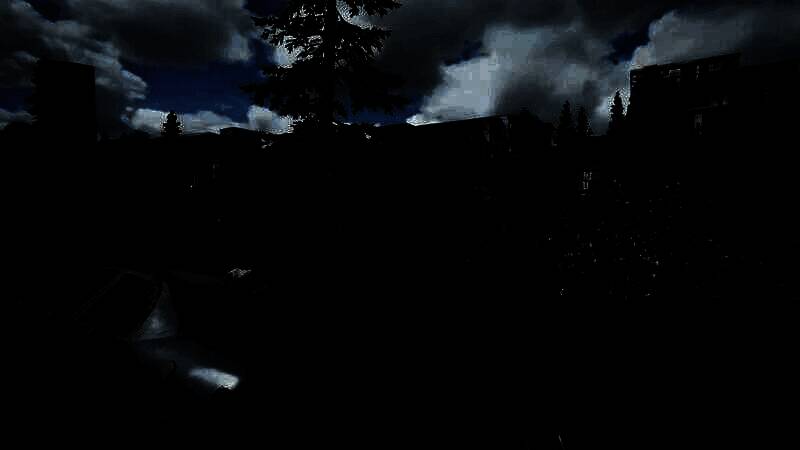 《最后的生还者2：重制版》开启光追MOD后的画面4