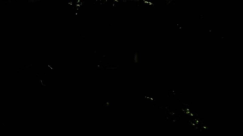 《最后的生还者2：重制版》开启光追MOD后的画面5