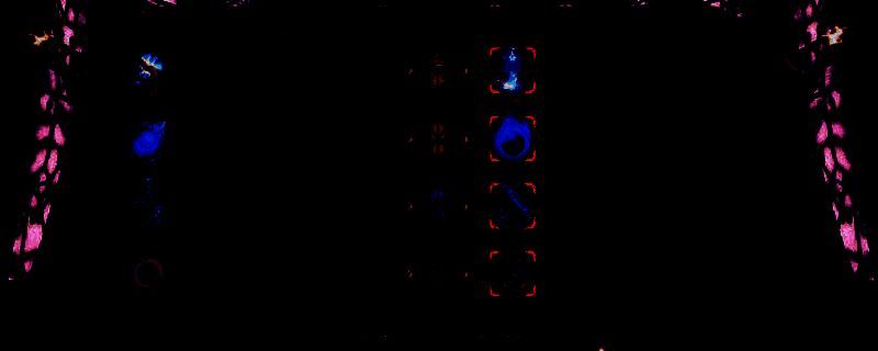 維斯佩拉 - 博諾尼亞游戏相关图片1