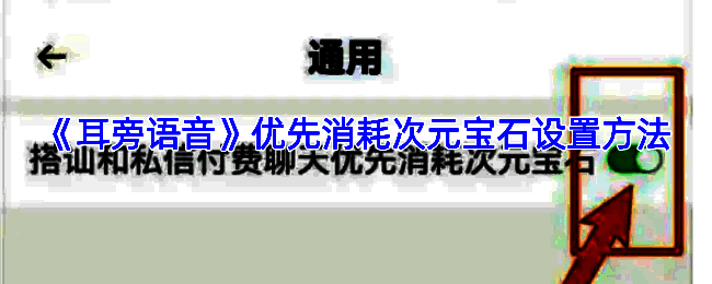 耳旁语音相关充值或消费页面示例图
