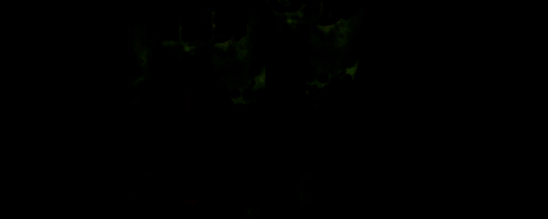 《苏丹的游戏》相关画面