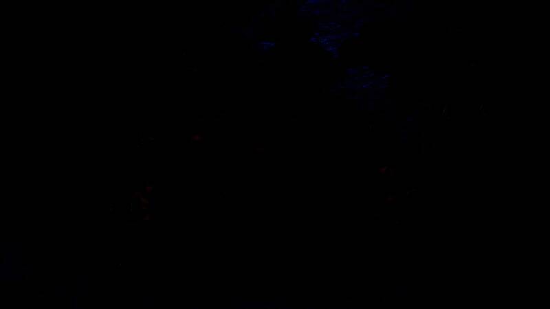 《帝国时代2：决定版》三国DLC宣传图6