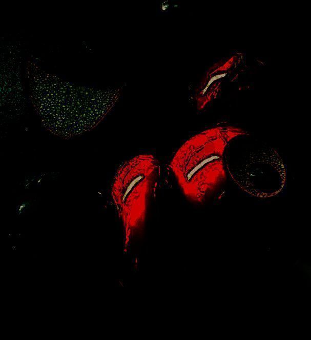 大阪世博会脉脉吉祥物漆器手办图片4