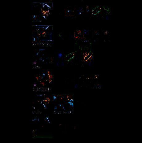 装备选择相关图片