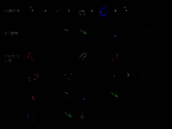 金铲铲之战S14赌狗阵容英雄装备推荐图