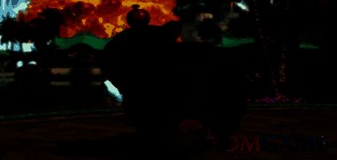 橘豆豚豚坐骑图片