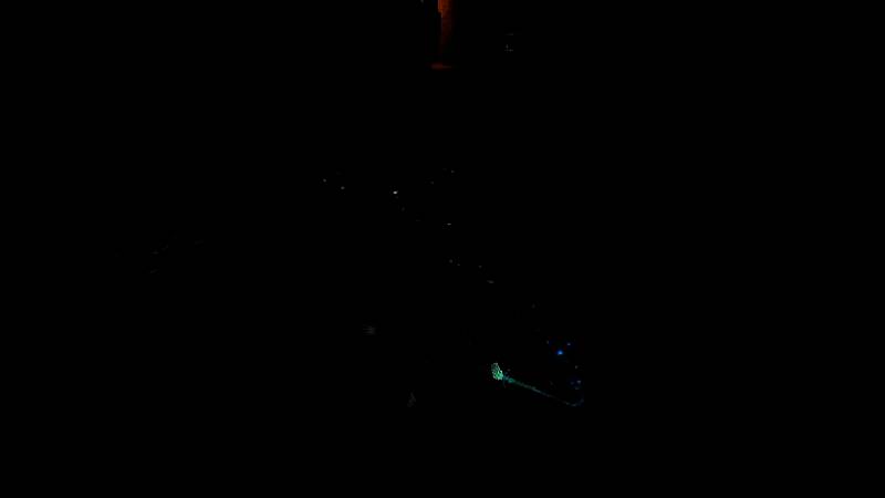 《艾尔登法环：黑夜君临》公爵夫人相关画面3