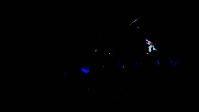 《艾尔登法环：黑夜君临》公爵夫人相关画面10