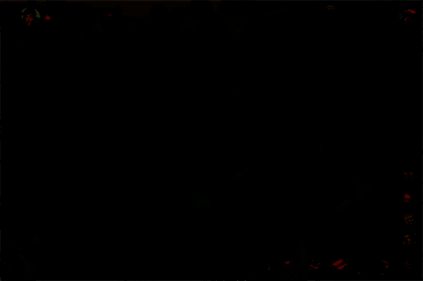 森林资源点位示意图