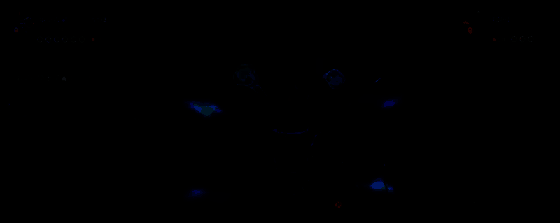 棋岐督精灵图片