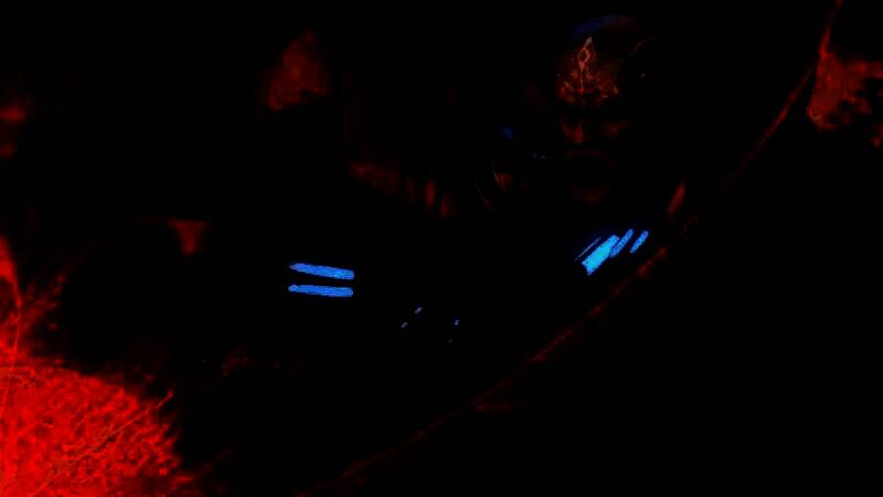 《无冬之夜2：增强版》相关图片