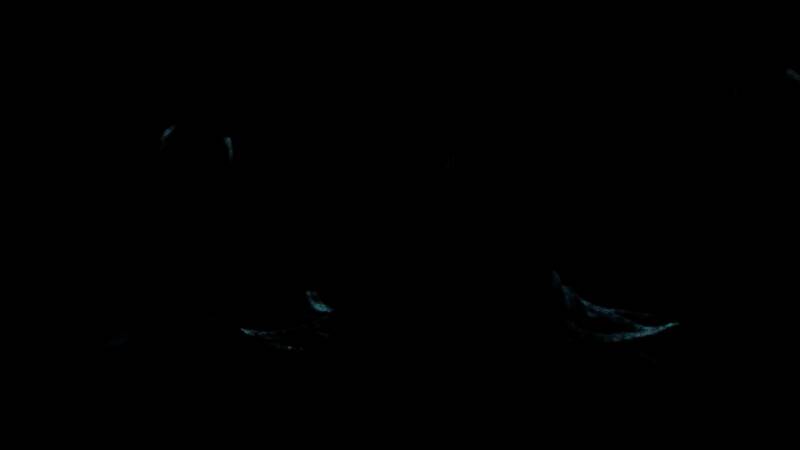 《小丑牌》游戏相关图片