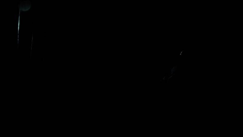 《The Duskbloods》游戏画面1