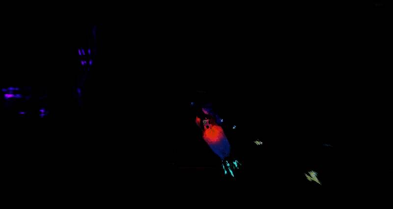 《救命！怎么又塌了！》游戏截图9