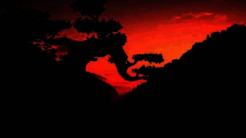 《刺客信条：影》游戏美景截图8