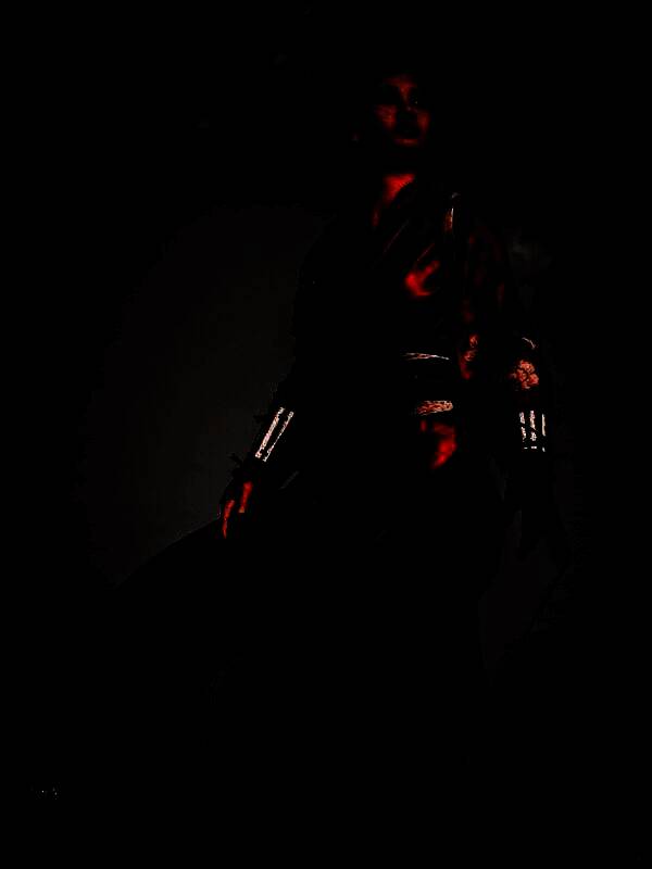 《刺客信条：影》游戏美景截图10