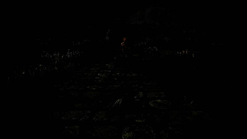 《艾尔登法环：黑夜君临》游戏视频画面3