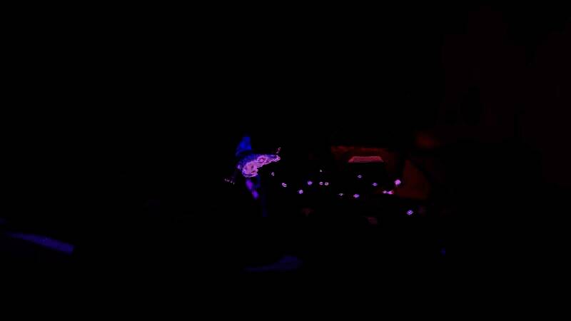 《Elusive》游戏特点展示图7