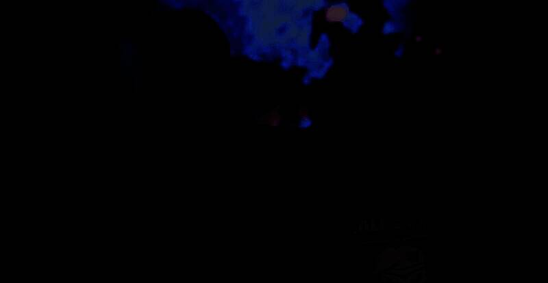 PlayStation LA开发多人合作游戏相关图片3