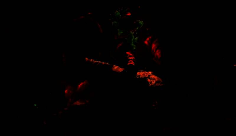 动视新工作室相关图片2