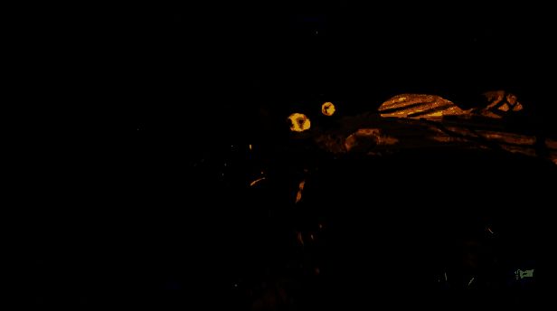 游戏中的头目战画面