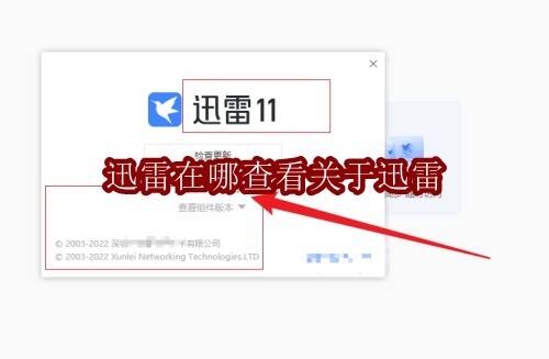 迅雷相关界面图片1