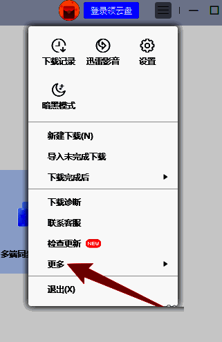 点击迅雷首页更多选项图片