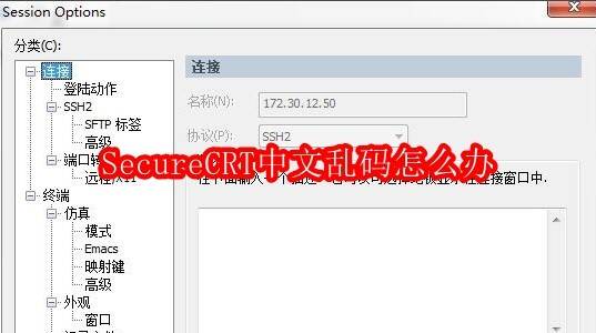 SecureCRT软件界面相关图片