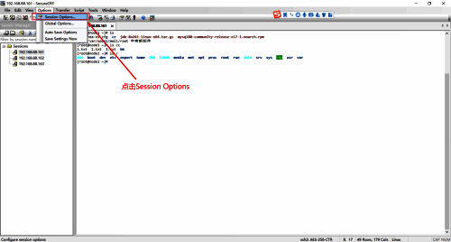 点击Options和Session Options的界面图片