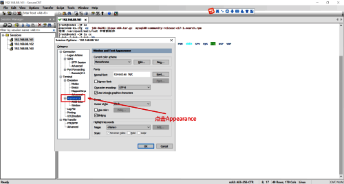 点击Terminal中Appearance的界面图片