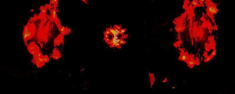 《上古卷轴4：湮灭重制版》游戏相关图片