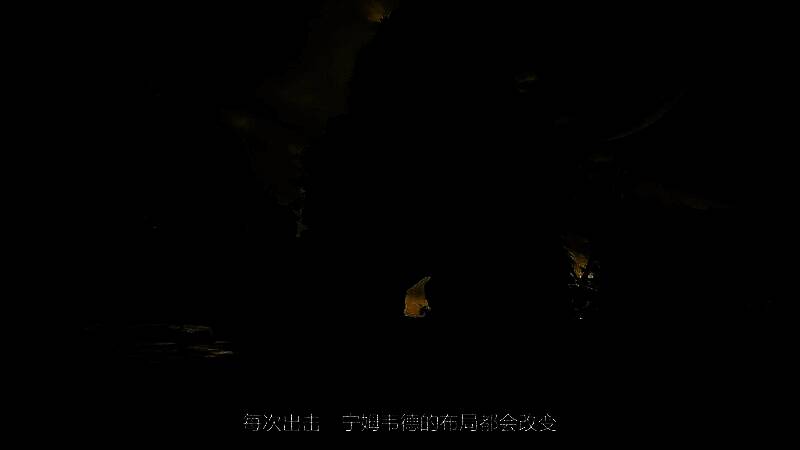 宁姆韦德变化世界的画面图