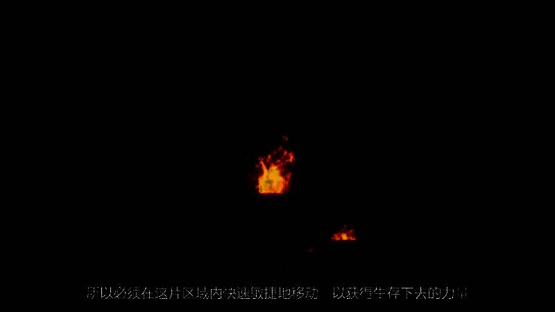 游戏视频画面图3