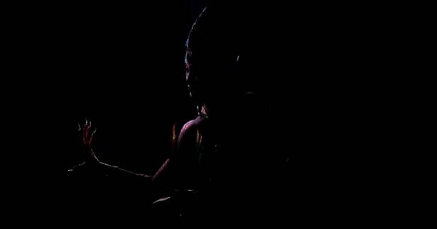 和平精英辉羽雀灵相关图片2